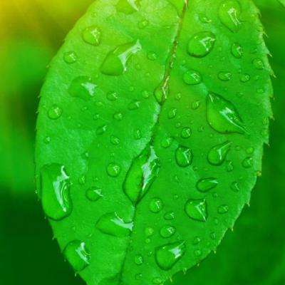 爱体育官方appapp下载